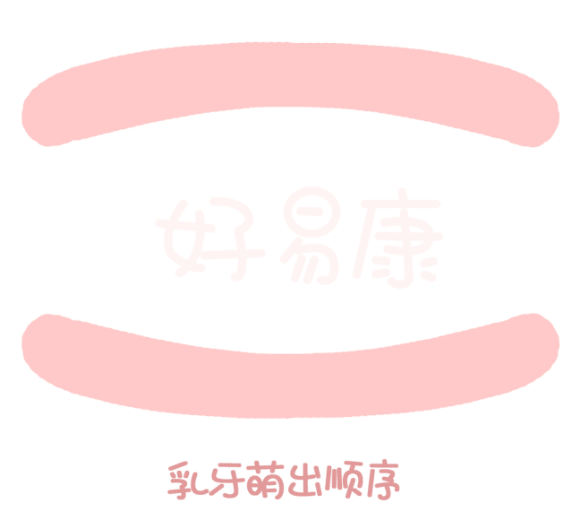 尚佳專業(yè)月嫂丨關(guān)于寶寶長(zhǎng)牙問(wèn)題，都在這里！